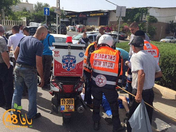 shefty accedneteja (3).jpg